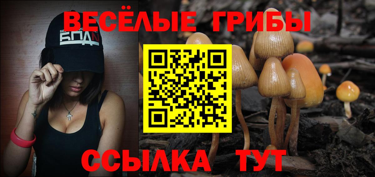 Псилоцибиновые грибы GOLDEN TEACHER Мелеуз
