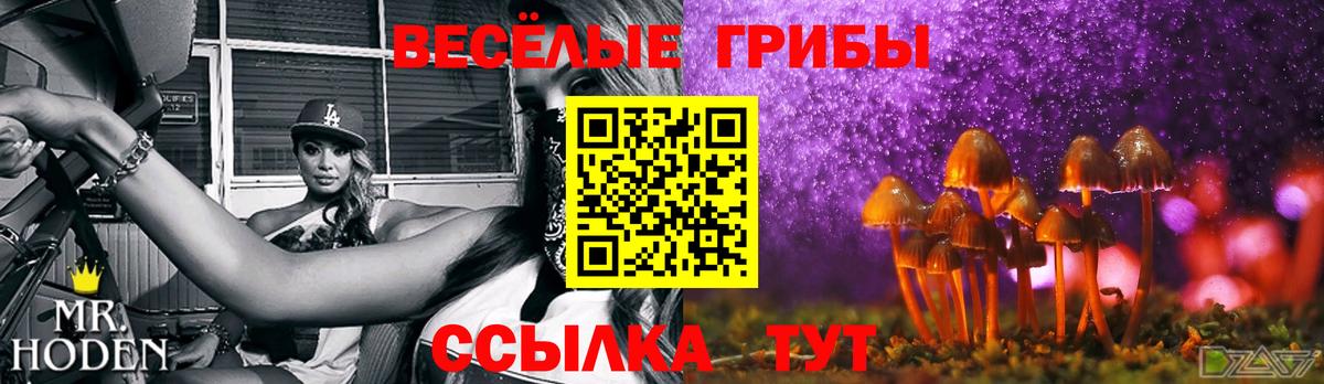 Мелеуз  Псилоцибиновые грибы ЛСД  Галлюциногенные грибы GOLDEN TEACHER  Вход с VPN 